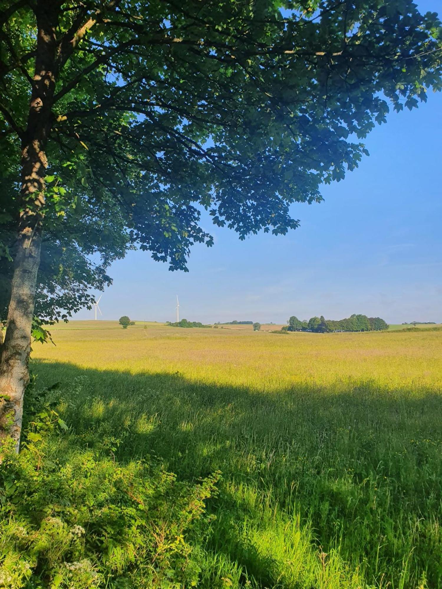 Nettersheim Schoene Aussicht מראה חיצוני תמונה